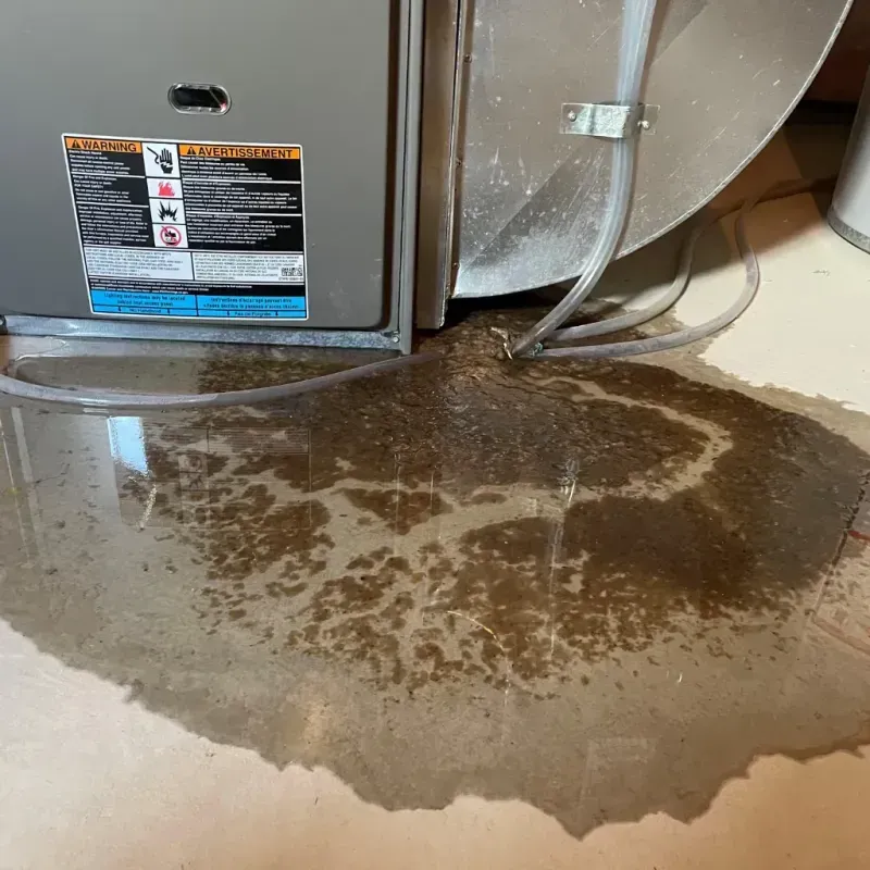 Appliance Leak Cleanup in Kendallville, IN